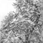 Drawing Trees