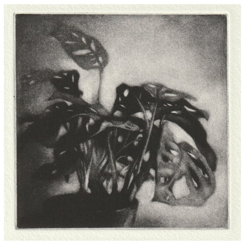 Mezzotint, Printmaking, Short courses, Illaria Rosselli Del Turco