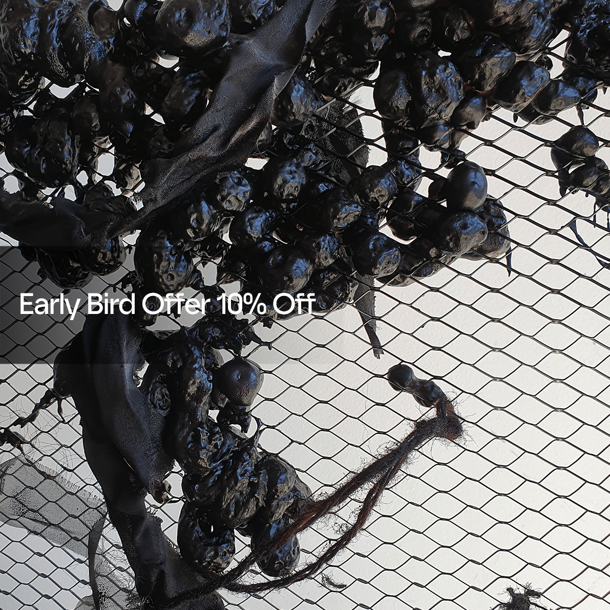 E2502S001 Farnoush Aminimoghadam