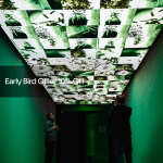 Digital: Moving Image